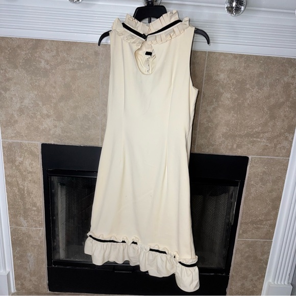 J. Crew Ruffle Trim Shift Dress size 6 damaged - Picture 8 of 14